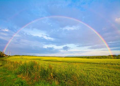 Regenbogen über Feld